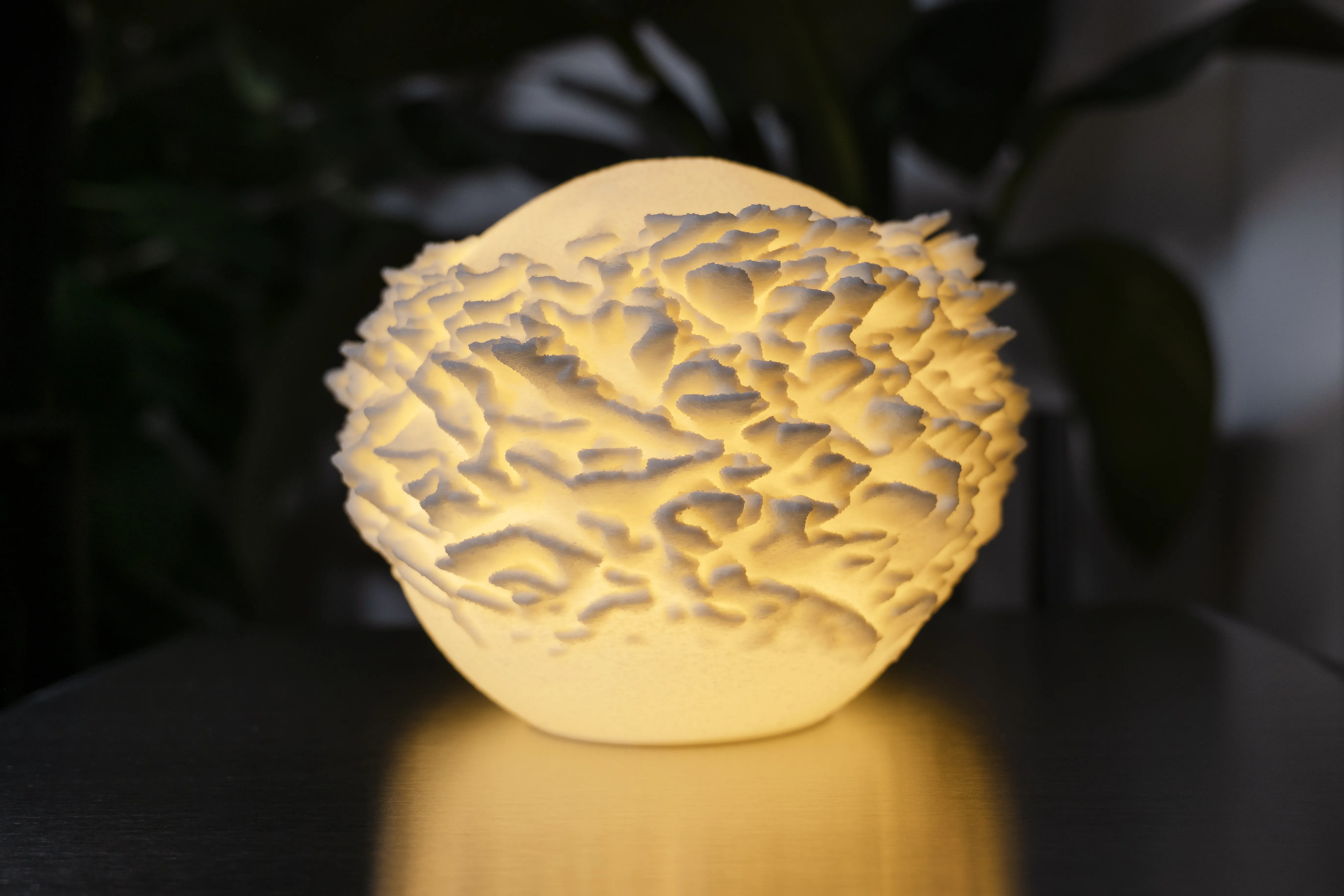 LEORA Plate Coral Mini